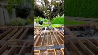 Framing a sundeck around this beautiful maple tree deckconstruction homeimprovement backyardgoals [upl. by Delfine]