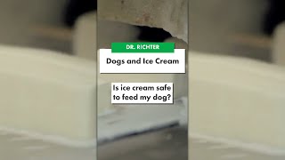 Is It Okay To Feed My Dog Ice Cream  Ultimate Pet Vet [upl. by Aietal]