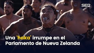 Diputados maoríes protestan con una ‘haka’ en el parlamento de Nueva Zelanda [upl. by Zerk]