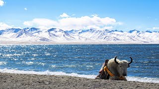 Namtso Lake in Chinas Xizang A mesmerizing beauty unveiled [upl. by Souza]