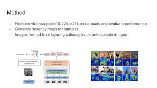 Visualizing Attention in Vision Transformers [upl. by Hsinam]