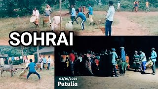 Sagun Sohorai soharai putulia adibasiculture 2024 [upl. by Suirad]