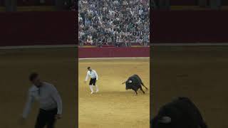 Recorte de Rober Alegre En el Campeonato Goyesco en Zaragoza 2024 recortador toros [upl. by Anidene345]