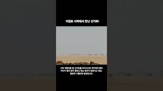 이집트사막 신기루현상 오아시스 이집트여행 집나간복자 eygpttravel oasis sahara [upl. by Karlie582]