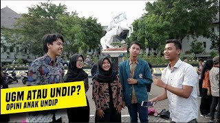 PILIH UGM ATAU UNDIP  OPINI ANAK UNDIP [upl. by Hamehseer]