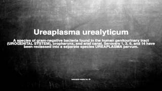 Medical vocabulary What does Ureaplasma urealyticum mean [upl. by Ahsilrac23]