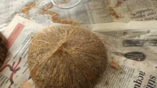 How to make percussion music instruments with coconuts [upl. by Elfie743]