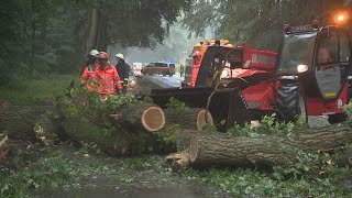 Bei Starkregen gestürzter Baum wird von Strecke geräumt [upl. by Lenad267]