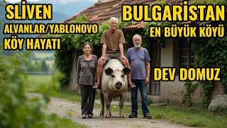 BULGARİSTANIN EN BÜYÜK KÖYÜNÜ GEZDİK  ALVANLAR KÖYÜNDE YAŞAM  BULGARİSTAN KÖY HAYATI BELGESELİ [upl. by Ymar]