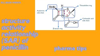 Structure activity relationship SAR of penicillinePharma tips [upl. by Bael797]