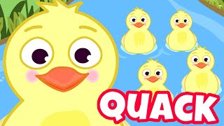 FIVE LITTLE DUCKS Nursery Rhyme with Lyrics  Kids Songs [upl. by Floro]