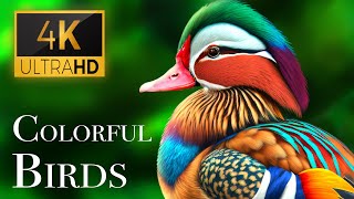 The Most Colorful Birds in 4K  Beautiful Birds Sound in the Forest  Scenic Relaxation Film [upl. by Lebna848]