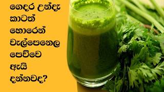 Welpenela Benefits  ගෙදර උන්දැ කාටත් හොරෙන් වැල්පෙනෙල පෙව්වෙ ඇයි දන්නවද [upl. by Artimid]