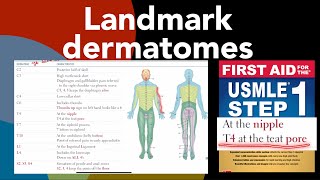 Landmark dermatomes in HindiUrdu by first aid for USMLE step 1 [upl. by Vassily132]