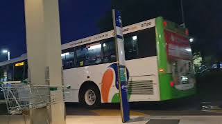 Busses leaving Noosa civic [upl. by Kurth663]