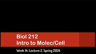 CSULB Spring 2024 Biol 212  Week 14 Lecture 2 [upl. by Ysteb435]