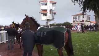 Machecoul Courses hippiques Mars 2014 [upl. by Bogusz]