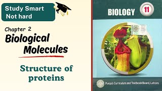 Structure of proteins  Classification of protein  Class 111st year  Chapter 2  Punjab  Biology [upl. by Inalaeham]