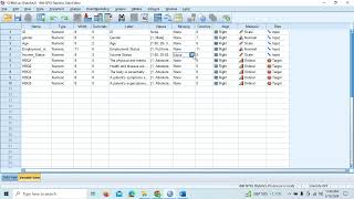 SPSS for Beginners Part 2 Inputting Questionnaire Data [upl. by Veno835]