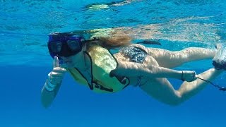 Snorkel Cozumel Colombia Reef [upl. by Whitelaw]