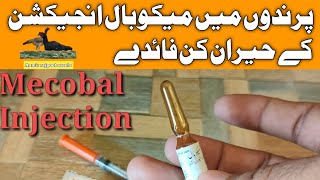 Methycobal Injection Review Urdu Hindi Mecobalamin Intection 500Vitamin B12  Aamir rajpoot aseels [upl. by Suivatnad]