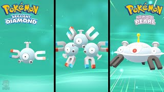 How to Find Magnemite Evolve into Magneton Then Magnezone in Brilliant Diamond amp Shining Pearl [upl. by Nywloc]