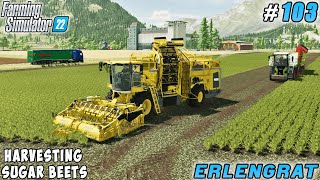 Sheep cheese production sugar beet harvest  Erlengrat Farm  Farming simulator 22  Timelapse 103 [upl. by Judd]