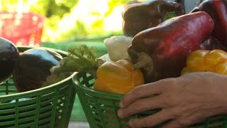 Terroir  authentique et gourmand le marché paysan de Marseille [upl. by Crompton]