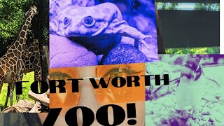 Fort Worth Zoo [upl. by Beth]