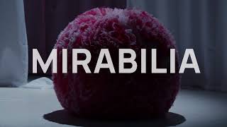 MIRABILIA Trailer [upl. by Kcinemod896]