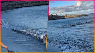 Terrifying moment when a shark hits some swimmers causes tourists to run out of the water in Gran [upl. by Esirahs]