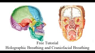 Free Tutorial – Holographic Breathing amp Craniofacial Breathing [upl. by Aceber]