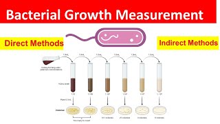 Bacterial Growth Measurement Direct and Indirect Methods Explained [upl. by Ellery]