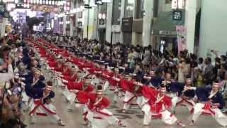 ほにや ～2013高知よさこい祭り・全国大会帯屋町筋会場 [upl. by Eilraep259]