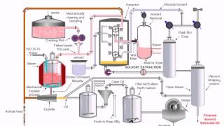 Chemical CPT vegetable oil extraction method [upl. by Akelam]