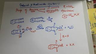 Gabriel pthalimide synthesis for Amines [upl. by Audwen]