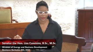 Bill to establish Business Barbados being debated in Senate [upl. by Thad]