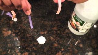 Acids and BasesTesting using litmus paper [upl. by Beverly792]