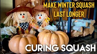 Curing Winter Squash For Longer Self Life [upl. by Acsehcnarf]