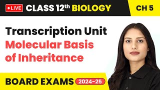 Transcription Unit  Molecular Basis of Inheritance  Class 12 Biology Chapter 5  live [upl. by Idieh178]