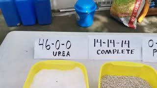 Types of fertilizers commonly used and stages ng pag apply ng fertilizer [upl. by Brookes910]