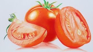 Tomato speed drawing  Prismacolor Pencils [upl. by Sasnett188]