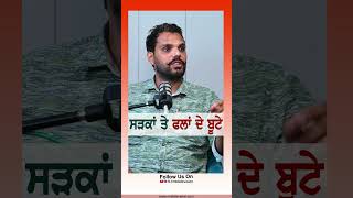 ਸੜਕਾਂ ਤੇ ਫਲਾਂ ਦੇ ਬੂਟੇ rmbtelevision farming podcast status fruit fruitfarm diet healthcare [upl. by Okomom]