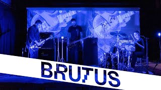 Brutus — Victoria  StuBru LIVE LIVE  Studio Brussel [upl. by Brigette]