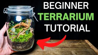 How To Make A Terrarium  ULTIMATE Beginners Guide [upl. by Daniela482]