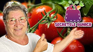 📌Secretele Bunicii despre Rosii🍅 intrun singur video Secretele Bunicii S1EP1 [upl. by Tamer15]