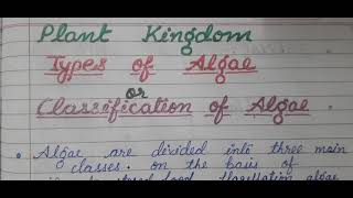 4 class 11th biology Plant Kingdom lecture4 classification of algae types of algae [upl. by Nolyag]