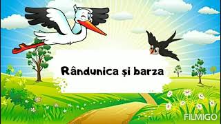 Rândunica și barza prezentare mod de viață hrană adăpost înmulțirecunoasterea mediului [upl. by Norvell]