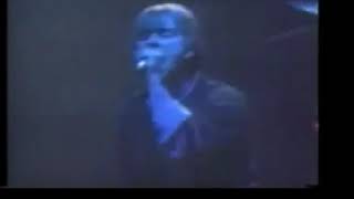 Blur  Day Upon Day Live Brixton Academy 7th April 1992 Clip [upl. by Enelrak]