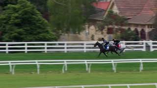 17 Sep Gallops Gallop 5 [upl. by Phare106]